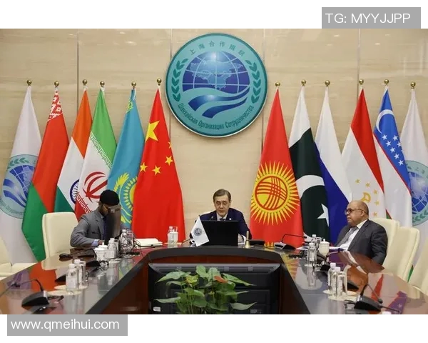 印度与中国的经济竞争与合作前景分析及其对全球格局的影响